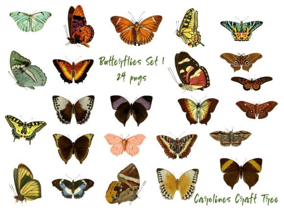 Download Butterfly Cutouts Set 1 - Cutouts Collection