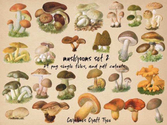 Download Vintage Mushrooms Cutouts Set 2 - Cutouts Collection